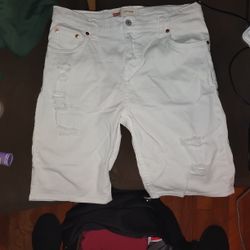 Women's Size 20 Reg. Levis Denim Shorts