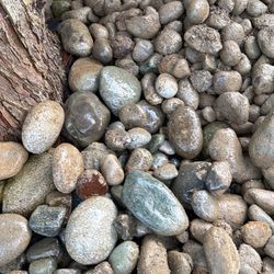 Cobblestone River Rock