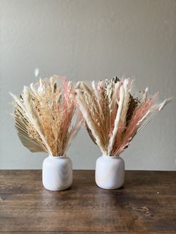 2 Pampas With Vase 