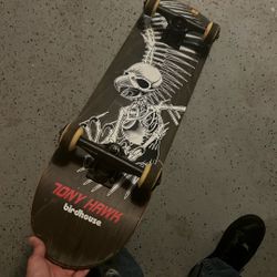 Skate Board