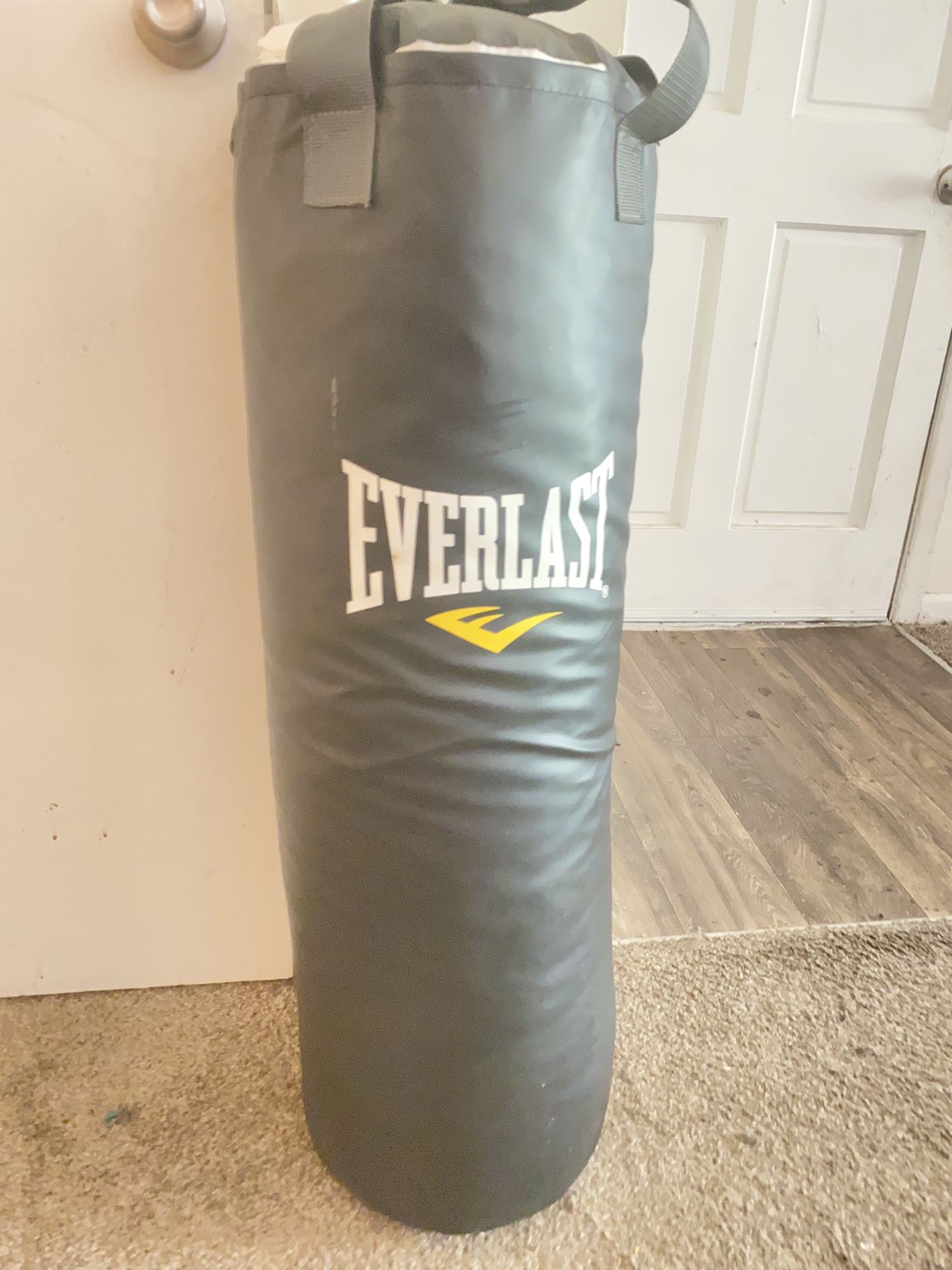 Everlast Punch Bag