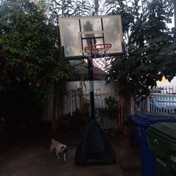 Basketball 🏀 