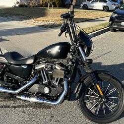 2015 883 Harley Davidson 