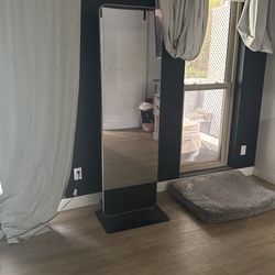 ProForm Workout Mirror With Weights