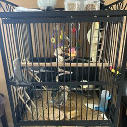 Bird Cage For Sale $$