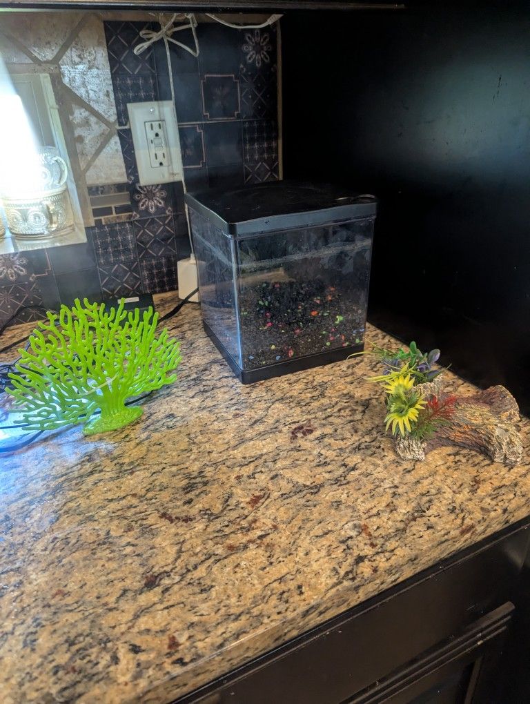 1.5 Gallon Plastic Fish Tank