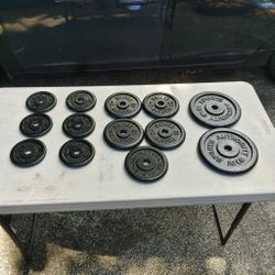 Metal Weights Plates Weight Set Plate Gym Exercise Barbell Weider Sports Authority Workout Strength