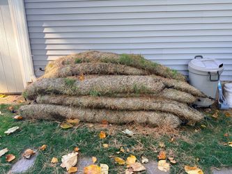 8 ft straw wattle
