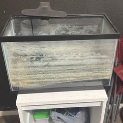 10 Gallon Fish Tank