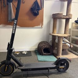 2 Electric Scooters 