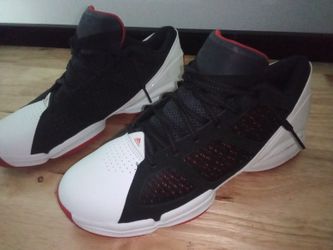 Derick Rose 11"