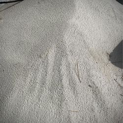 Masonry Sand - Yard