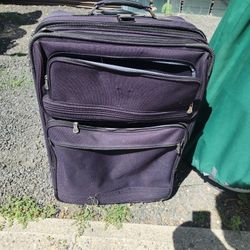 Large Suze Check Bag Luggage And Carry On 