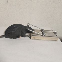 Halloween Prop 