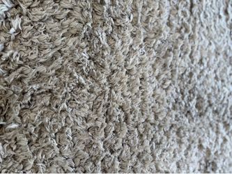 Pottery Barn Kids Micro Plush Tufted Shag Rug