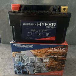 Power Sonic 12.8V 125CA 32W /HR  Battery 