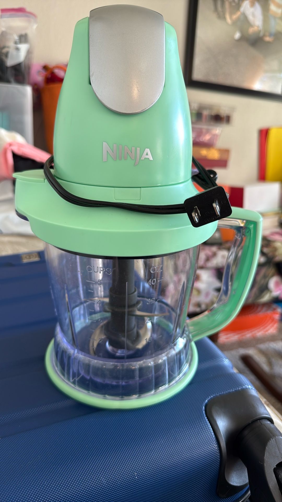 Ninja Storm Food Processor - 