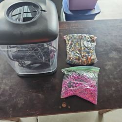 1 Gallon Aquarium Tank Complete