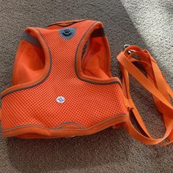 Dog Orange Harness and Leash Set Size XL