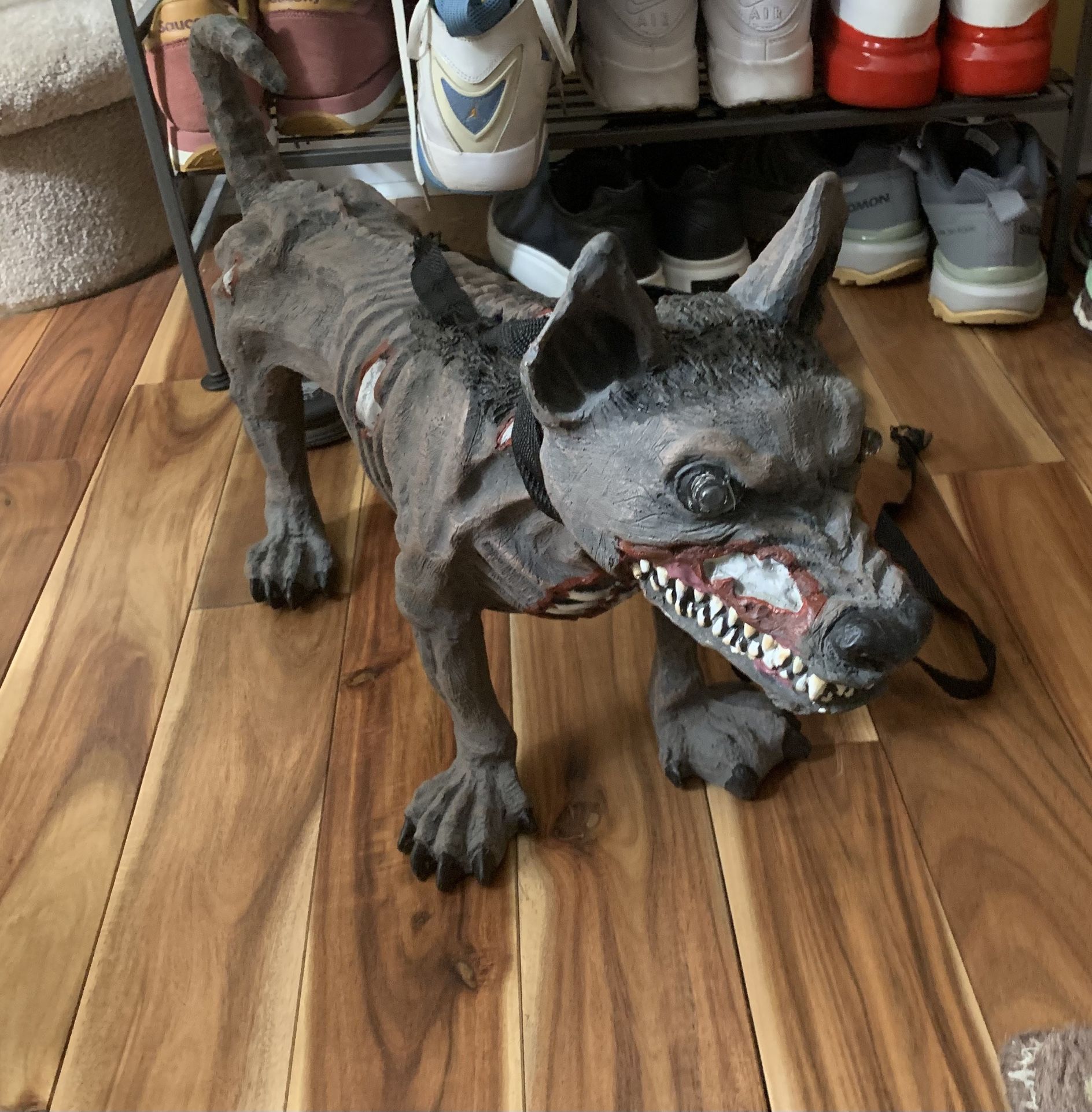 Growling Dog