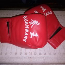Punching Bag Gloves 