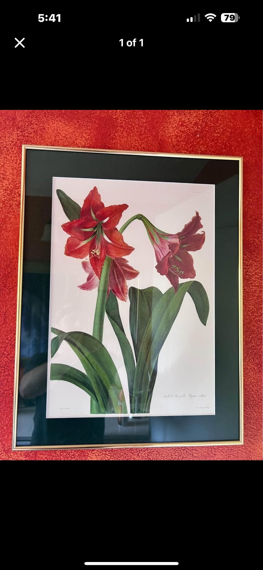 Framed Floral Painting 