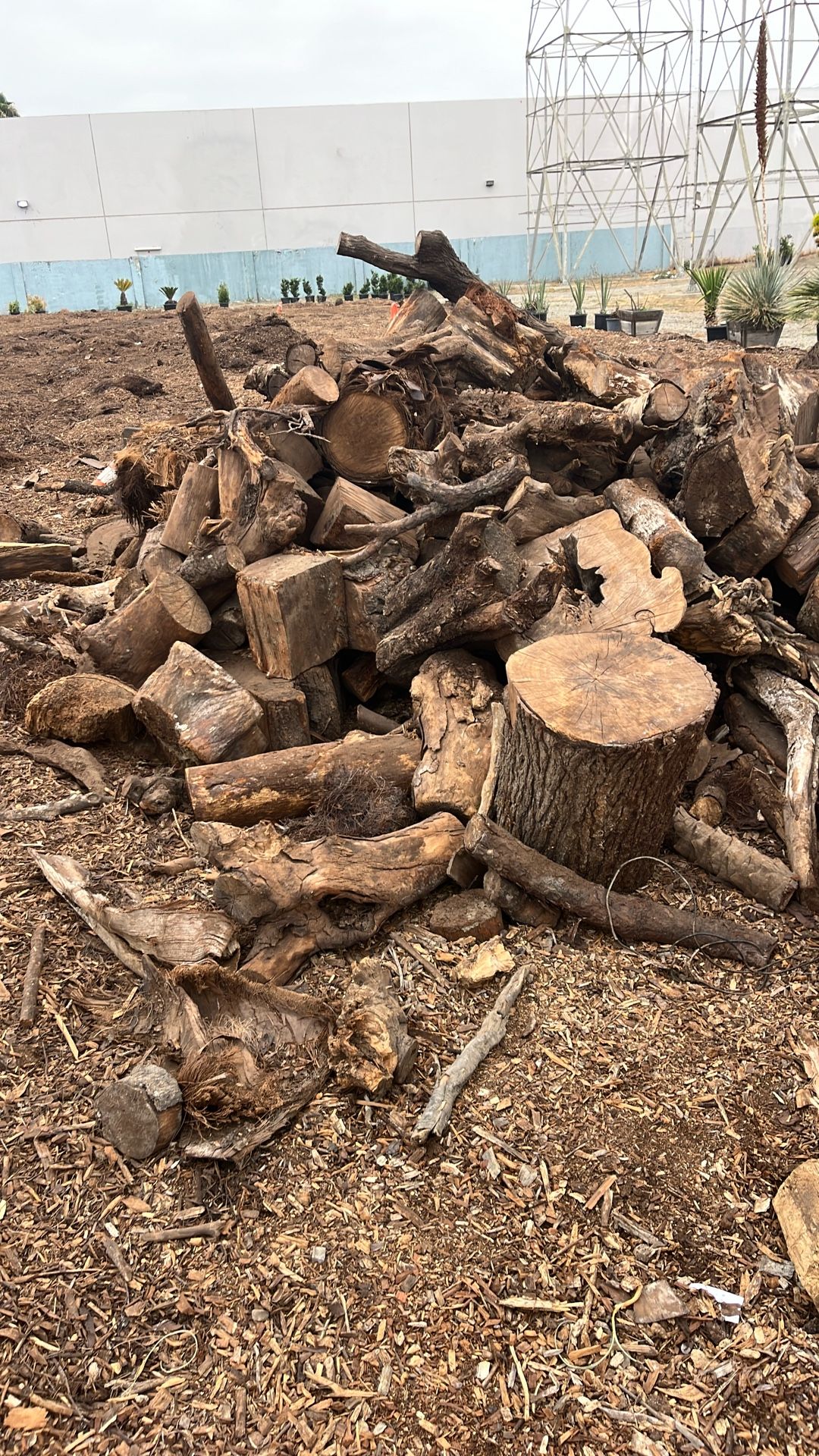 Firewood 