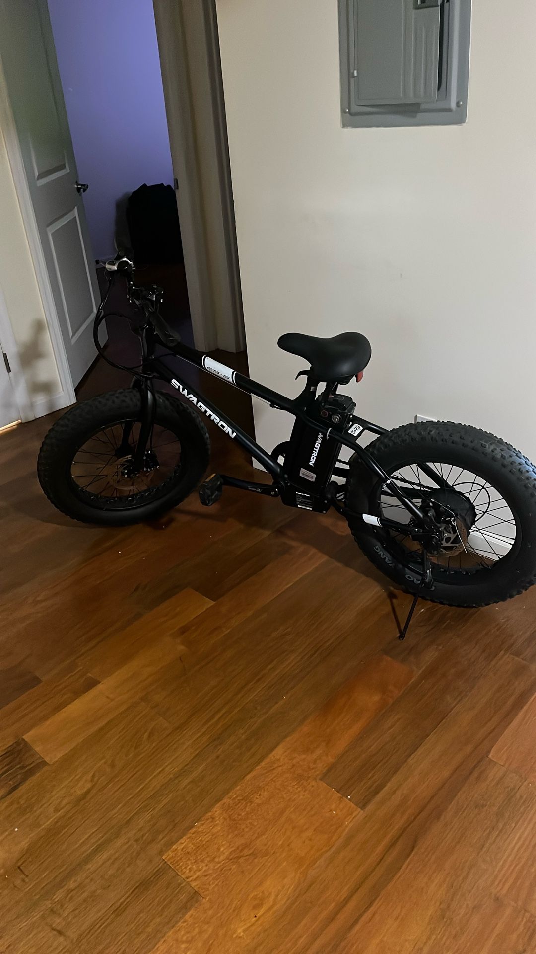 Electric Bike