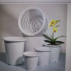White Plants Pot