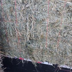 Orchard Grass. HORSE HAY FOR SALE. Certified Weed Free 