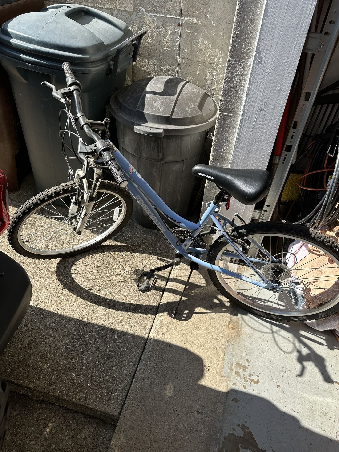 Road master Bike