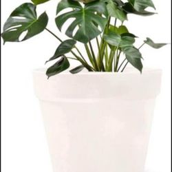 Brandnew Plant Flower Pot, 6 inch Plastic Planter, for Tabletop Plant & Hanging Planter - Pack of 6