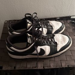Dunks Size 12