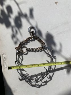 Dog pinch/training collar
