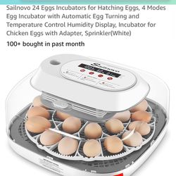 Egg Hatching For 24 Eggs