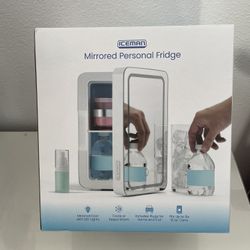 Mirrored Mini Fridge 