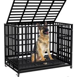 48 in Heavy duty dog crate 