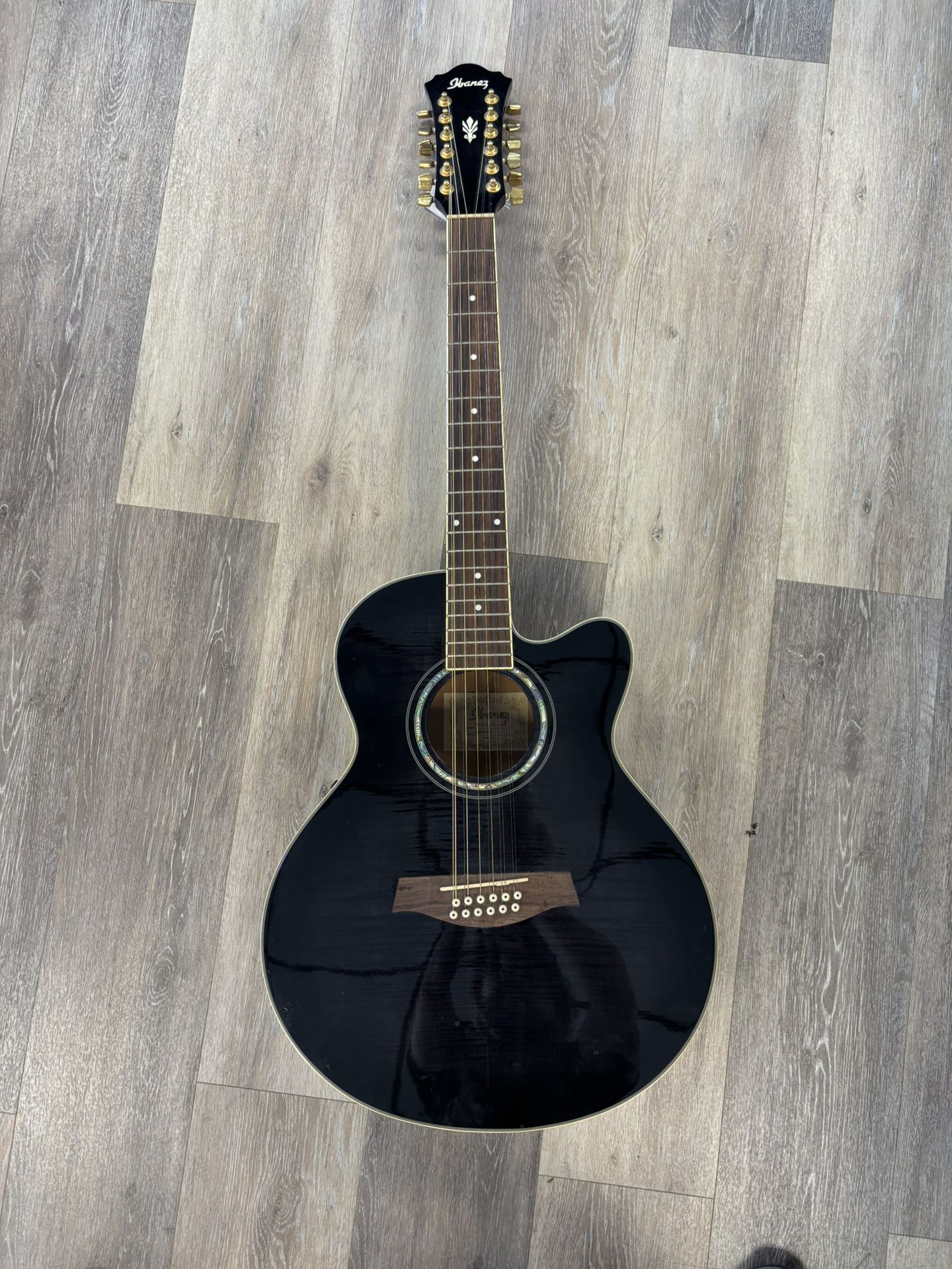 Ibanez Acoustic Electric 12-String Guitar 