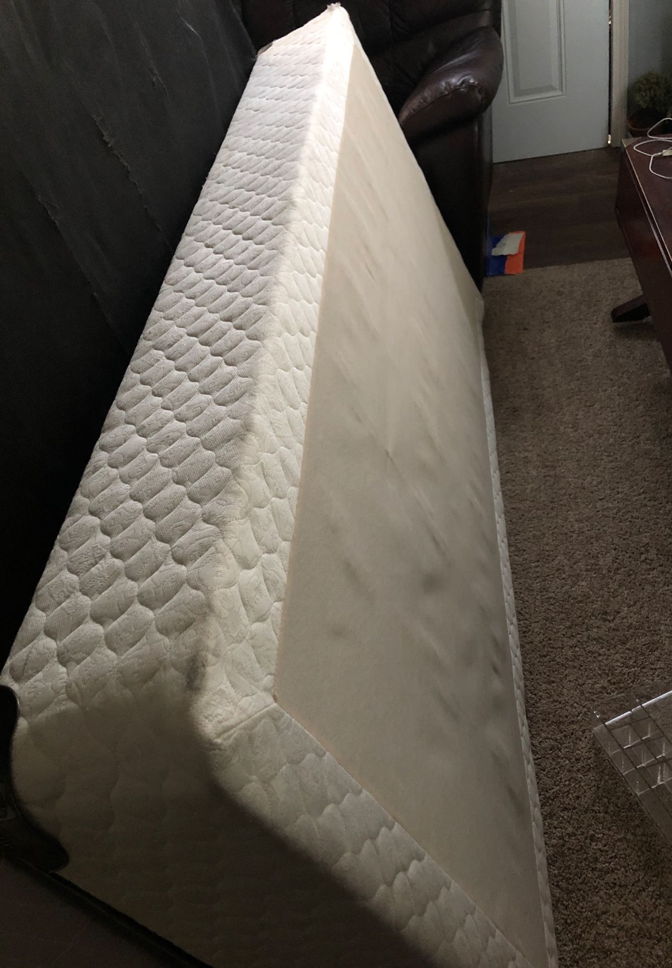Xl twin box spring bed