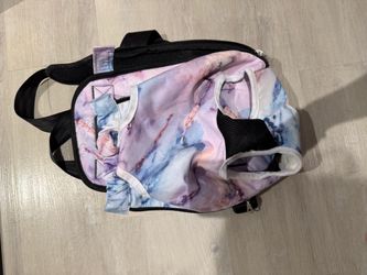 Dog brush and carrier