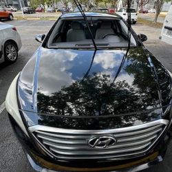 Windshield/palabrisas 