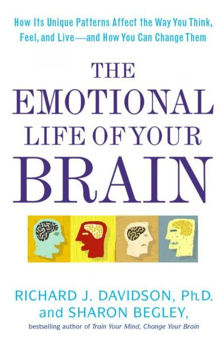 The Emotional Life Of Your Brain