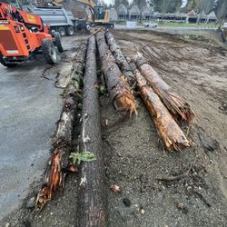 Douglas Fir Firewood