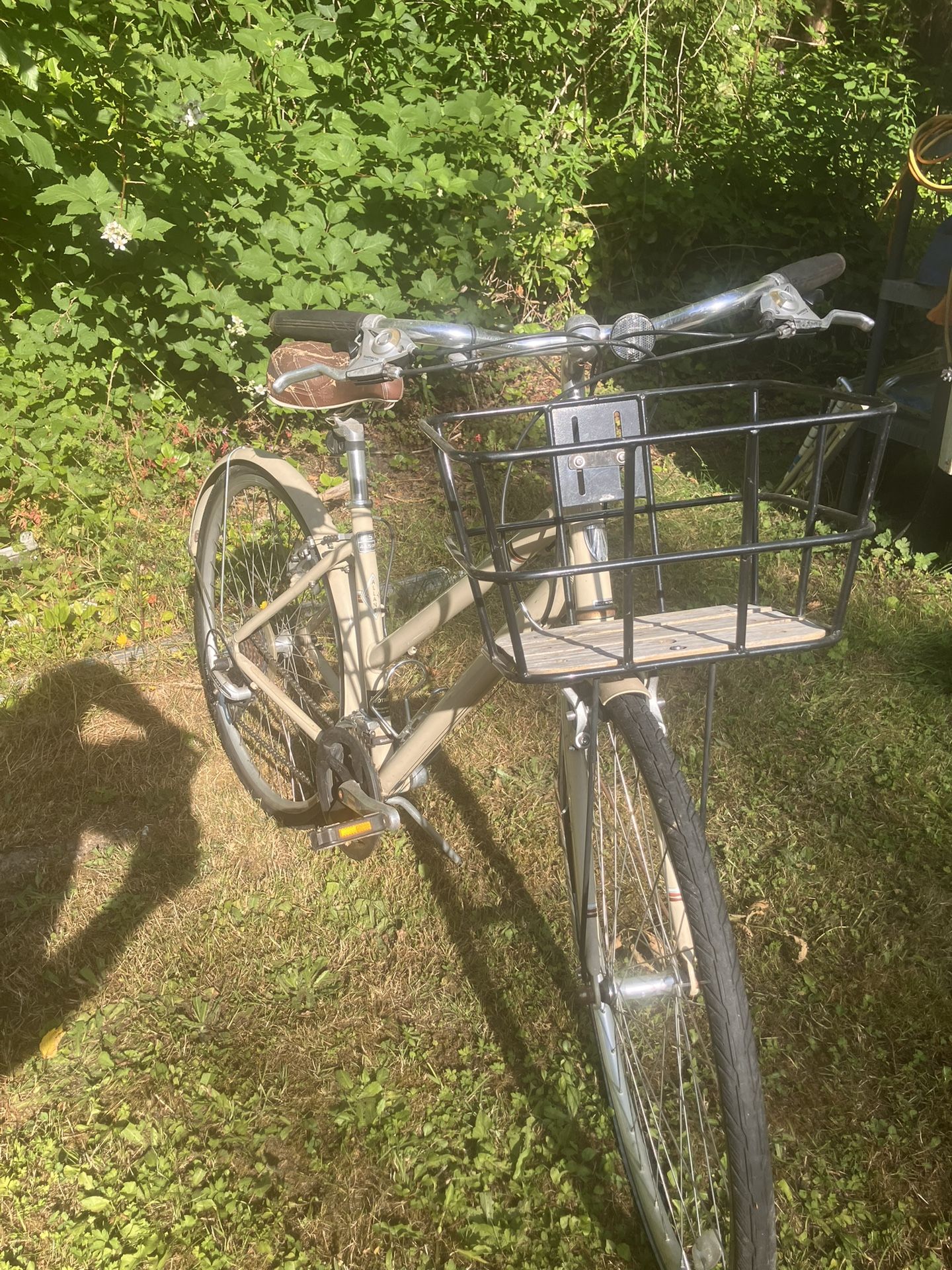 Cruiser Bike