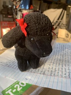 Gigi the Beanie Baby Poodle