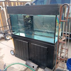 Two Fish Tanks One Is 120gal With Stand Top,55gal