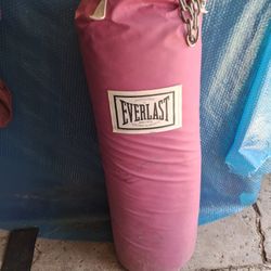 100 Lb Everlast Boxing Bag