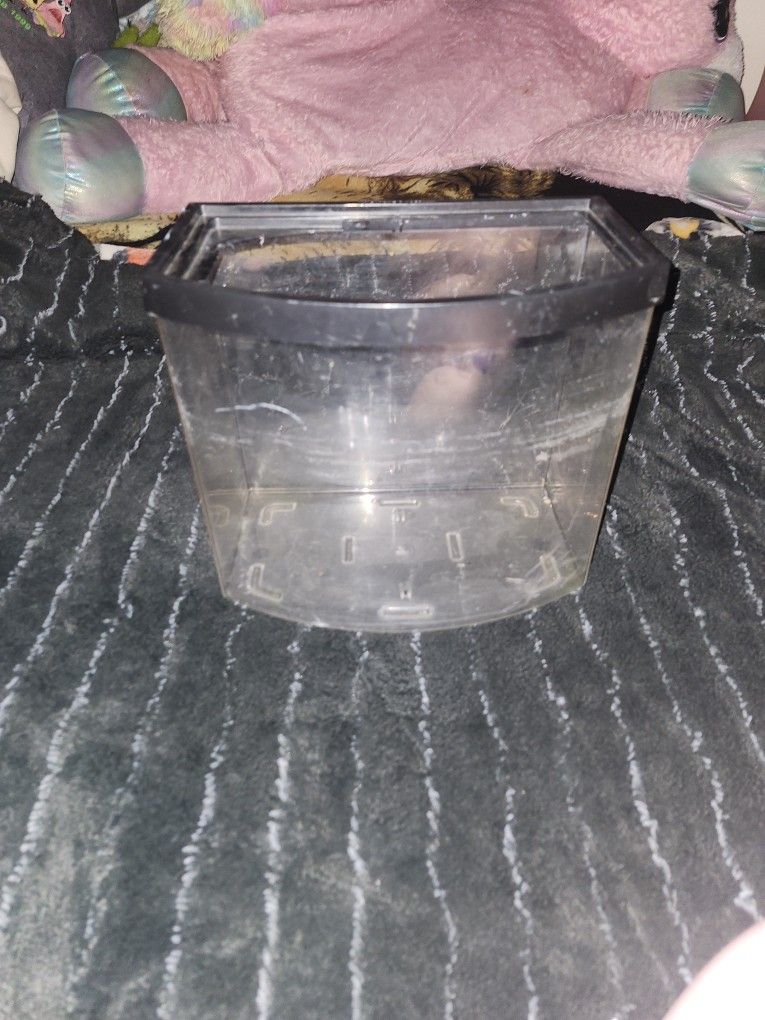 10 Gallon Fish Tank