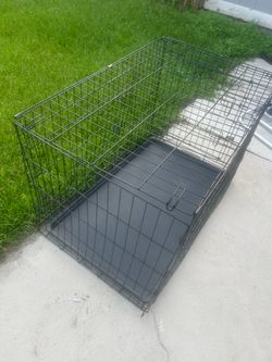 Dog Metal Crate medium