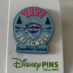 Disney Expedition Everest Yeti Ski School  Pin